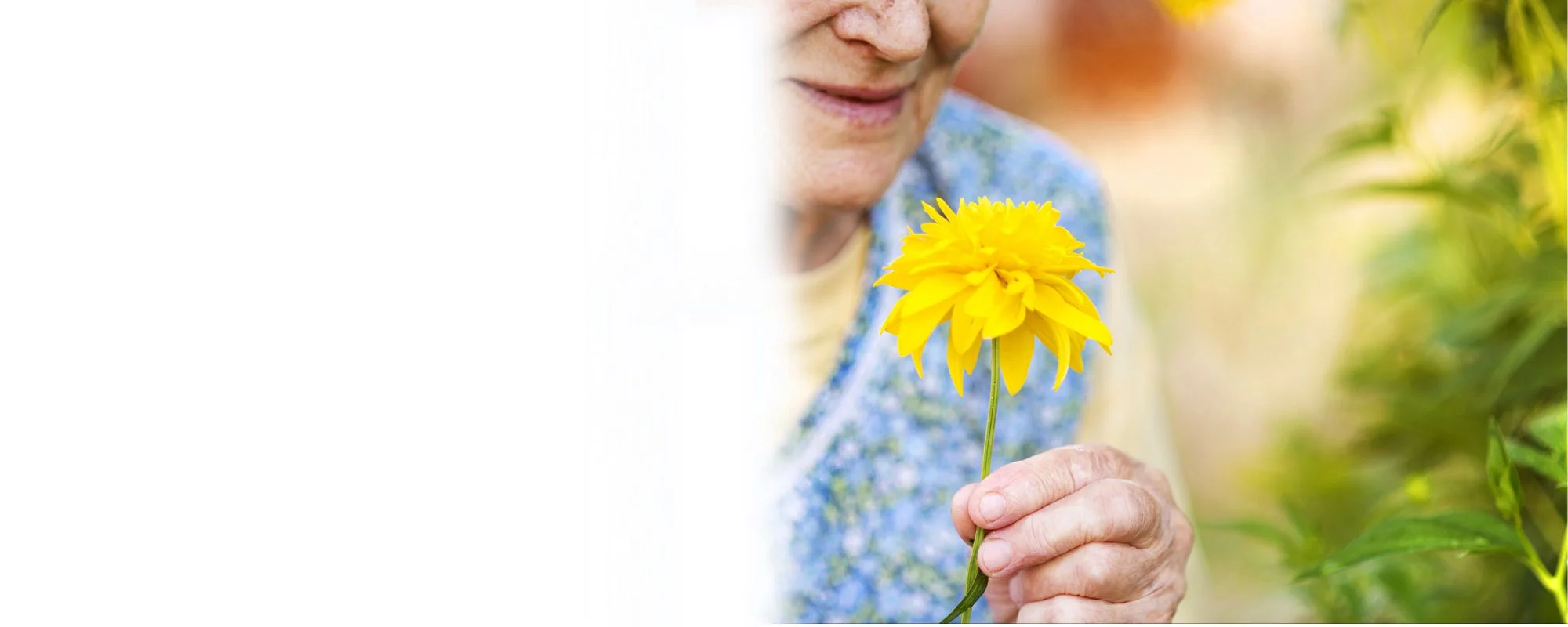 Elderly woman holding a yellow flower outdoors, symbolizing trusted senior home care in Sun City Anthem Nevada