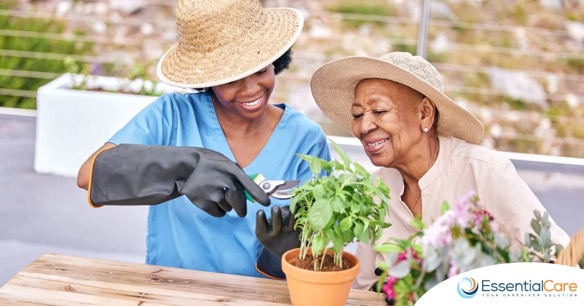 Keeping Seniors Engaged at Home: Creative Companion Care Ideas